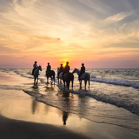 Les Jardins D'hardelot Hotel Hardelot-Plage