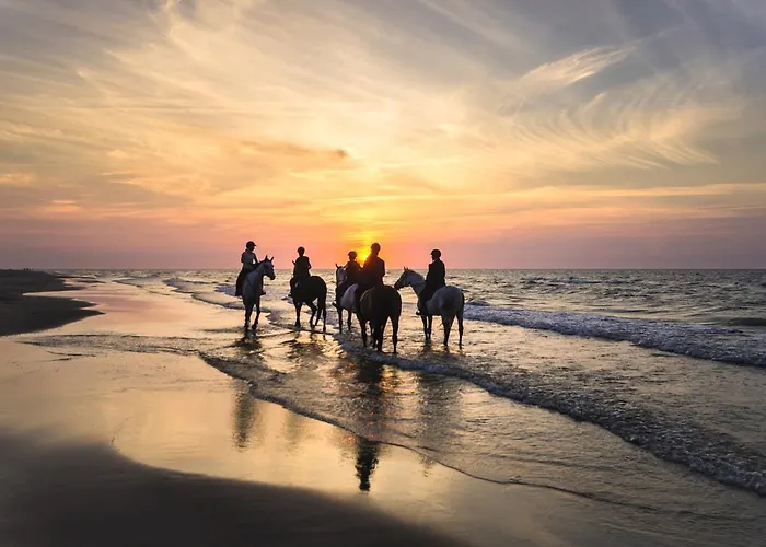 Les Jardins D'hardelot Hotel Hardelot-Plage