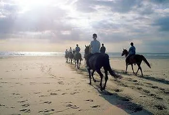 Les Jardins D'hardelot