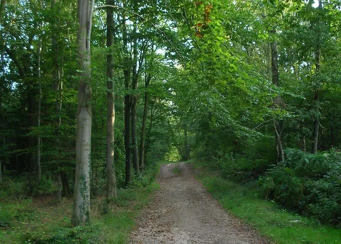 Les Jardins D'hardelot Hotel 3*